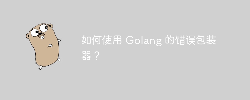 如何使用 Golang 的错误包装器？-第1张图片-海印网