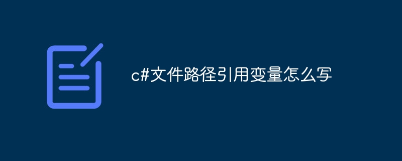 c#文件路径引用变量怎么写-第1张图片-海印网