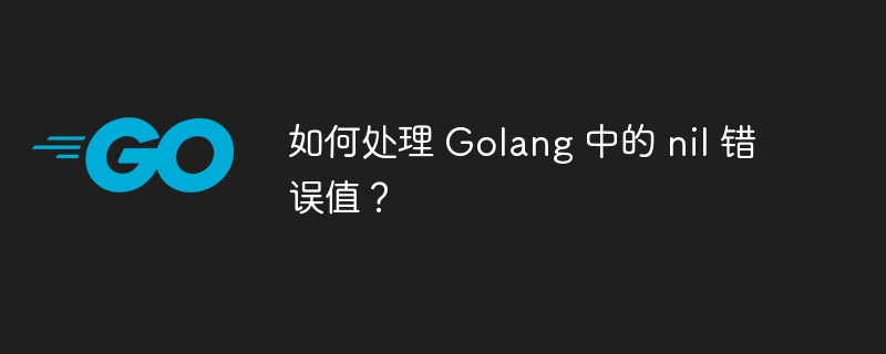 如何处理 Golang 中的 nil 错误值？-第1张图片-海印网