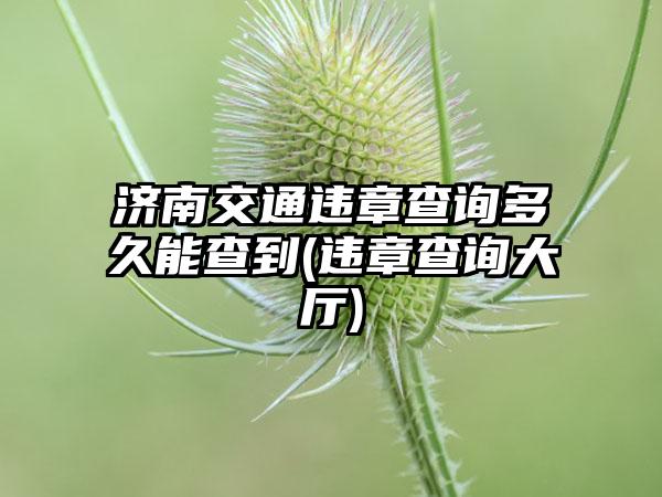 济南交通违章查询多久能查到(违章查询大厅)-第1张图片-海印网