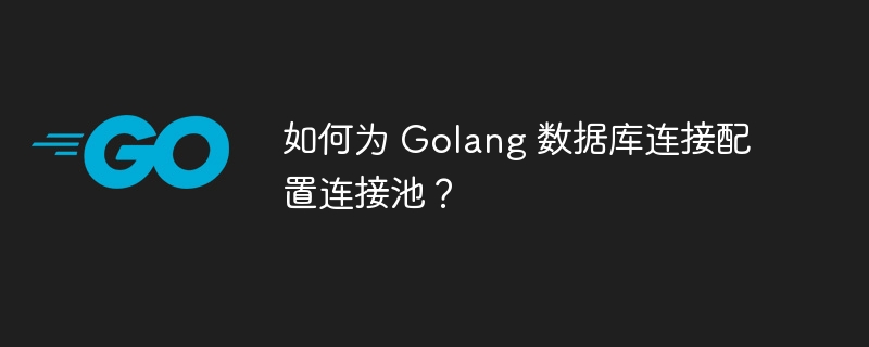 如何为 Golang 数据库连接配置连接池？-第1张图片-海印网