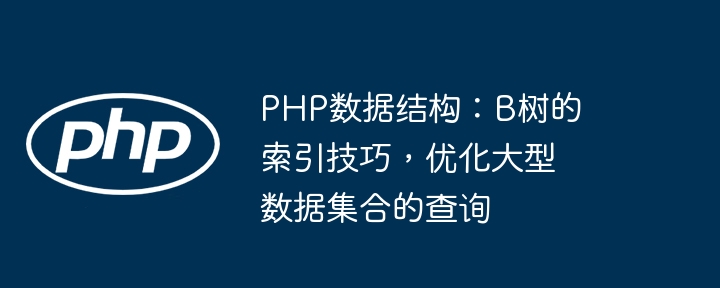 PHP数据结构：B树的索引技巧，优化大型数据集合的查询-第1张图片-海印网