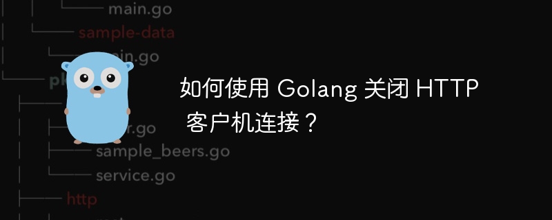 如何使用 Golang 关闭 HTTP 客户机连接？-第1张图片-海印网