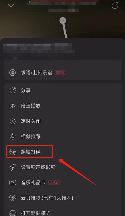 网易云音乐怎么开启黑胶打碟?网易云音乐开启黑胶打碟方法-第3张图片-海印网