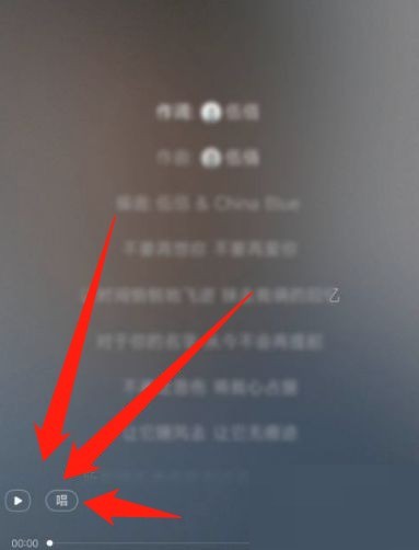 网易云音乐怎么唱歌?网易云音乐唱歌教程-第1张图片-海印网