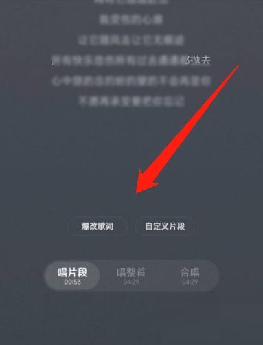 网易云音乐怎么唱歌?网易云音乐唱歌教程-第3张图片-海印网