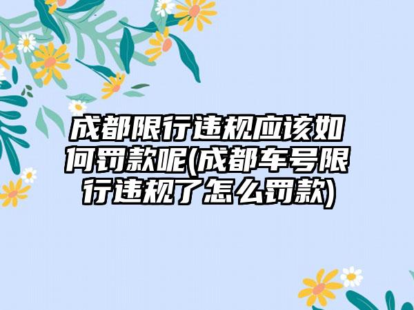 成都限行违规应该如何罚款呢(成都车号限行违规了怎么罚款)-第1张图片-海印网