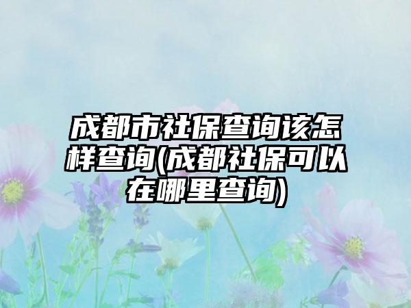 成都市社保查询该怎样查询(成都社保可以在哪里查询)-第1张图片-海印网