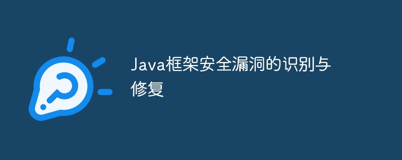 Java框架安全漏洞的识别与修复-第1张图片-海印网