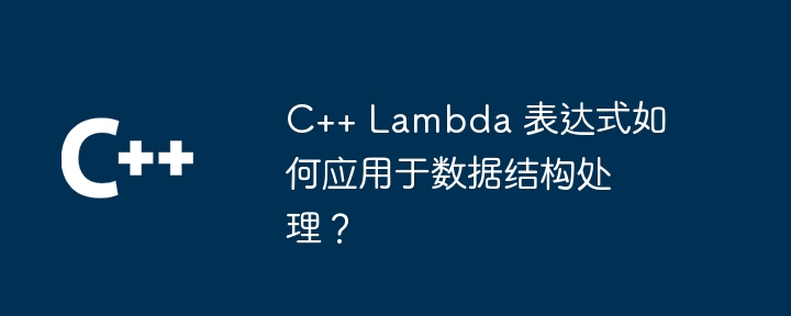 C++ Lambda 表达式如何应用于数据结构处理？-第1张图片-海印网