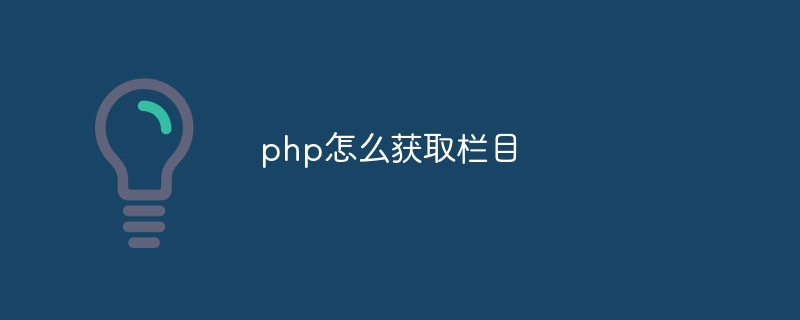 php怎么获取栏目-第1张图片-海印网