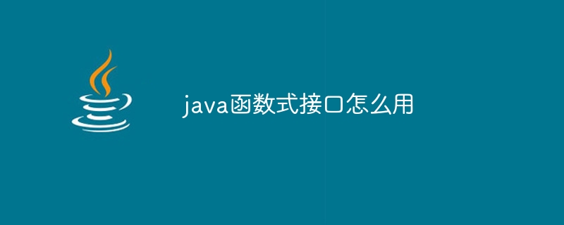 java函数式接口怎么用-第1张图片-海印网