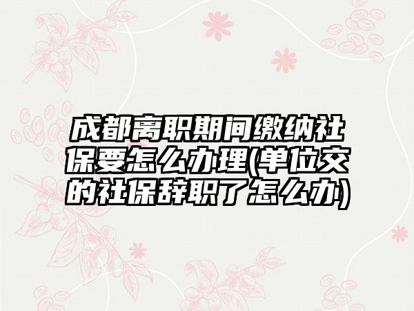 成都离职期间缴纳社保要怎么办理(单位交的社保辞职了怎么办)-第1张图片-海印网