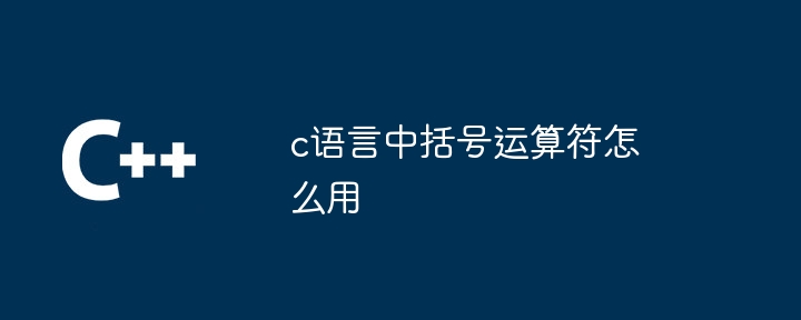 c语言中括号运算符怎么用-第1张图片-海印网