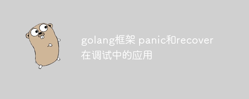 golang框架 panic和recover在调试中的应用-第1张图片-海印网