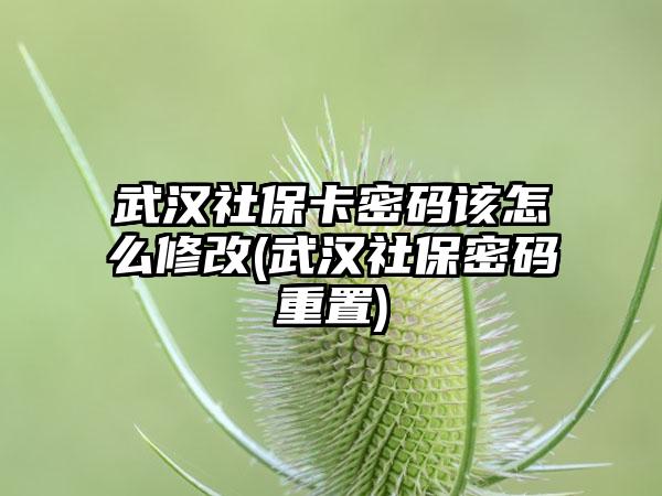 武汉社保卡密码该怎么修改(武汉社保密码重置)-第1张图片-海印网