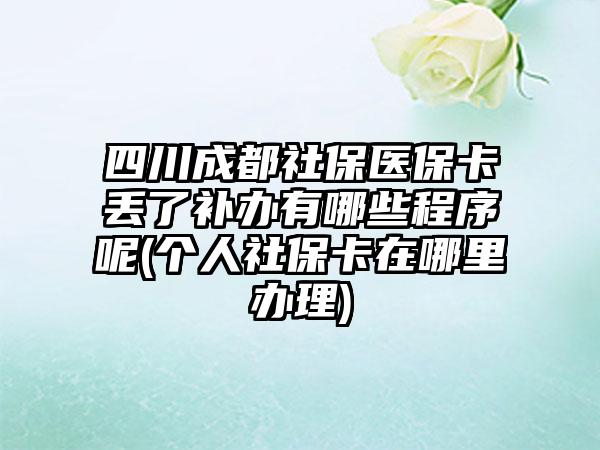 四川成都社保医保卡丢了补办有哪些程序呢(个人社保卡在哪里办理)-第1张图片-海印网