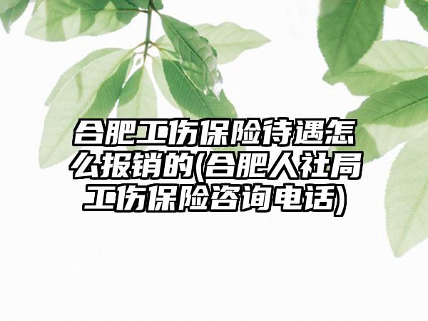 合肥工伤保险待遇怎么报销的(合肥人社局工伤保险咨询电话)-第1张图片-海印网