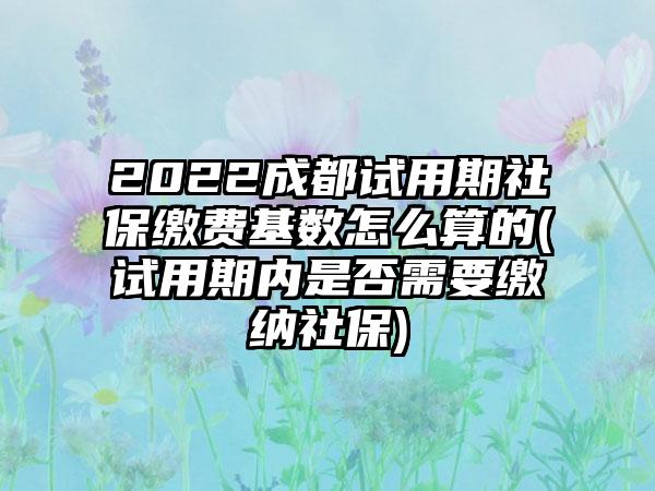 2022成都试用期社保缴费基数怎么算的(试用期内是否需要缴纳社保)-第1张图片-海印网