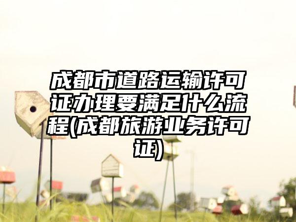 成都市道路运输许可证办理要满足什么流程(成都旅游业务许可证)-第1张图片-海印网