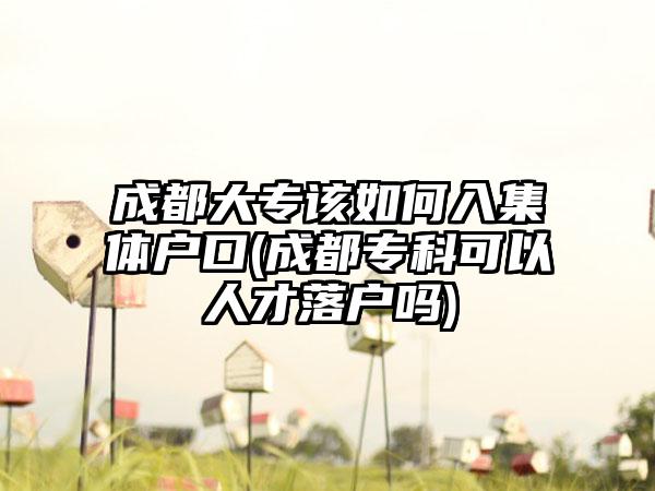 成都大专该如何入集体户口(成都专科可以人才落户吗)-第1张图片-海印网