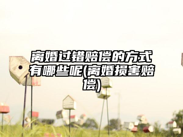 离婚过错赔偿的方式有哪些呢(离婚损害赔偿)-第1张图片-海印网