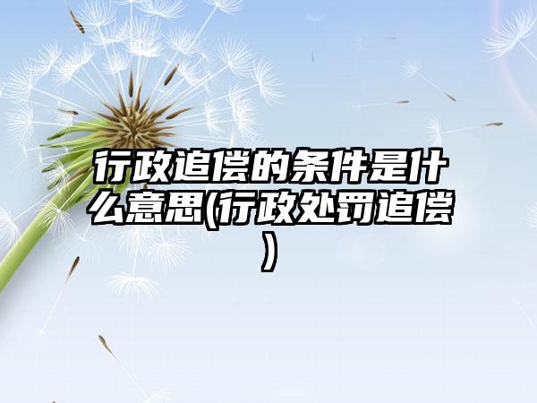 行政追偿的条件是什么意思(行政处罚追偿)-第1张图片-海印网