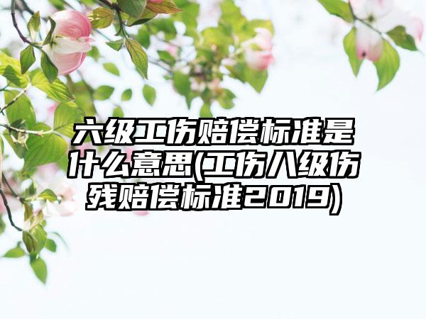 六级工伤赔偿标准是什么意思(工伤八级伤残赔偿标准2019)-第1张图片-海印网