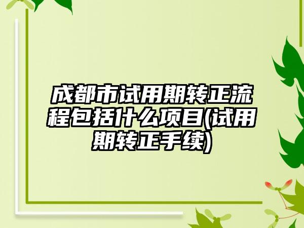 成都市试用期转正流程包括什么项目(试用期转正手续)-第1张图片-海印网