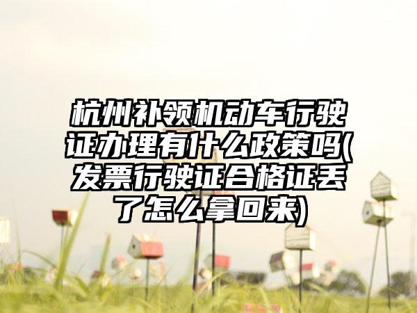 杭州补领机动车行驶证办理有什么政策吗(发票行驶证合格证丢了怎么拿回来)-第1张图片-海印网