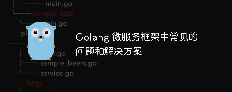 Golang 微服务框架中常见的问题和解决方案-第1张图片-海印网