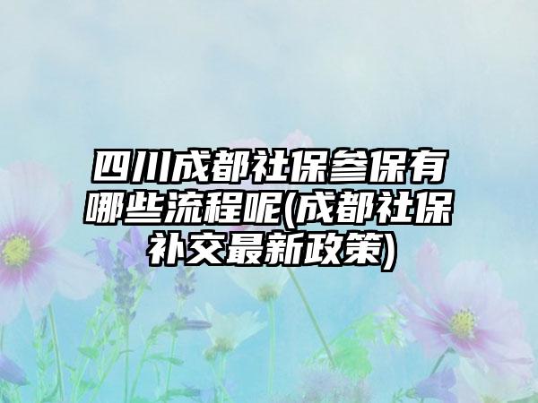 四川成都社保参保有哪些流程呢(成都社保补交最新政策)-第1张图片-海印网