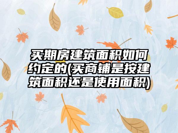 买期房建筑面积如何约定的(买商铺是按建筑面积还是使用面积)-第1张图片-海印网