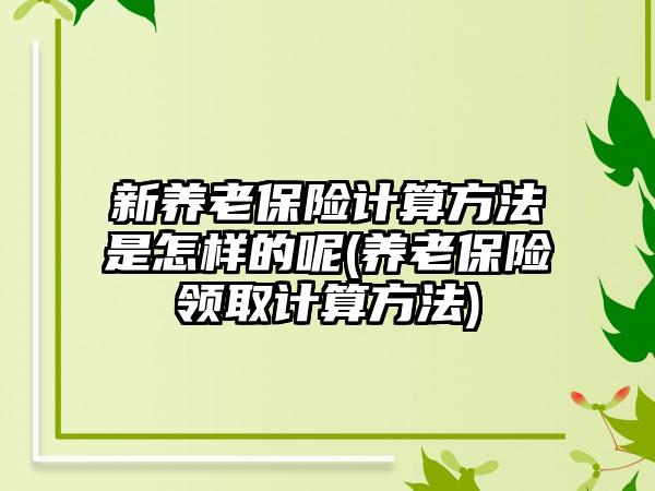 新养老保险计算方法是怎样的呢(养老保险领取计算方法)-第1张图片-海印网