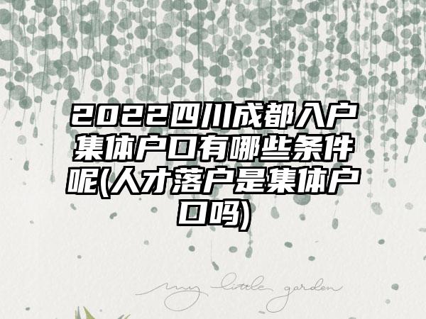 2022四川成都入户集体户口有哪些条件呢(人才落户是集体户口吗)-第1张图片-海印网