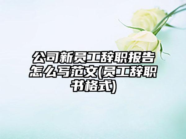 公司新员工辞职报告怎么写范文(员工辞职书格式)-第1张图片-海印网