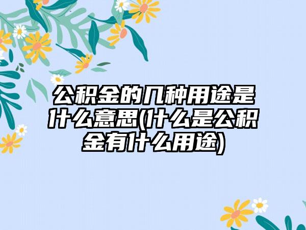 公积金的几种用途是什么意思(什么是公积金有什么用途)