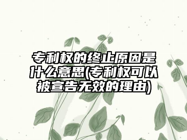 专利权的终止原因是什么意思(专利权可以被宣告无效的理由)-第1张图片-海印网