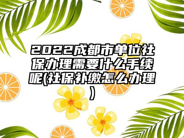 2022成都市单位社保办理需要什么手续呢(社保补缴怎么办理)-第1张图片-海印网