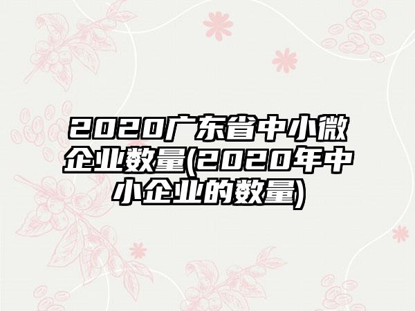 2020广东省中小微企业数量(2020年中小企业的数量)-第1张图片-海印网