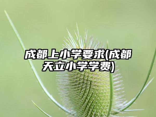 成都上小学要求(成都天立小学学费)-第1张图片-海印网