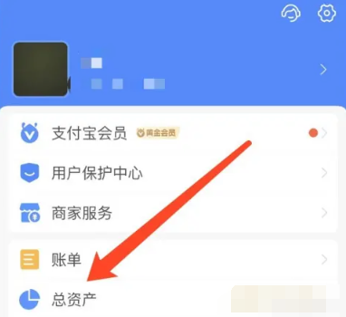 支付宝总资产怎么查看 总资产的查看方法-第3张图片-海印网