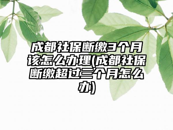 成都社保断缴3个月该怎么办理(成都社保断缴超过三个月怎么办)-第1张图片-海印网