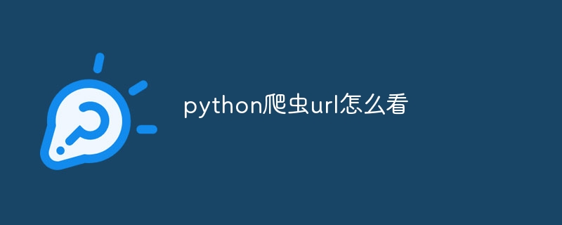 python爬虫url怎么看-第1张图片-海印网