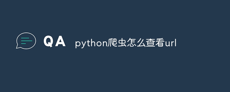 python爬虫怎么查看url-第1张图片-海印网