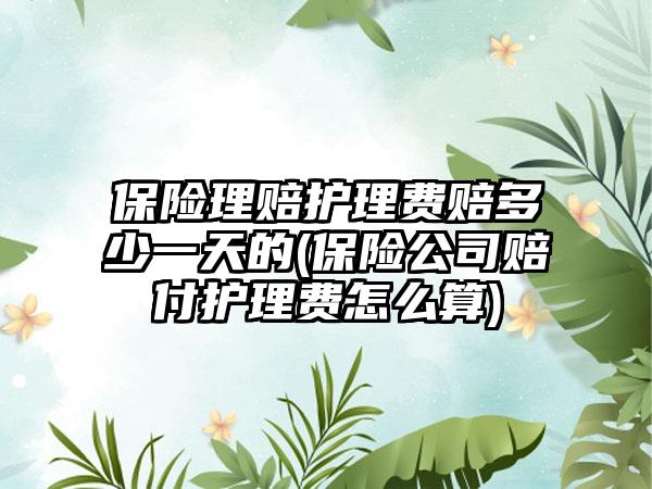 保险理赔护理费赔多少一天的(保险公司赔付护理费怎么算)-第1张图片-海印网