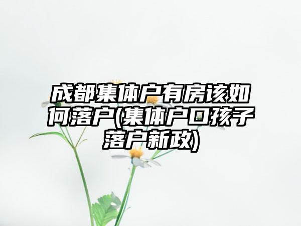 成都集体户有房该如何落户(集体户口孩子落户新政)-第1张图片-海印网