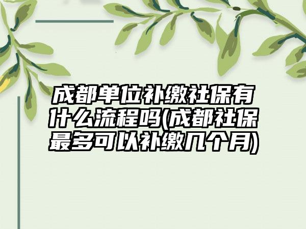 成都单位补缴社保有什么流程吗(成都社保最多可以补缴几个月)