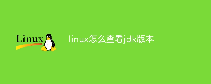 linux怎么查看jdk版本-第1张图片-海印网