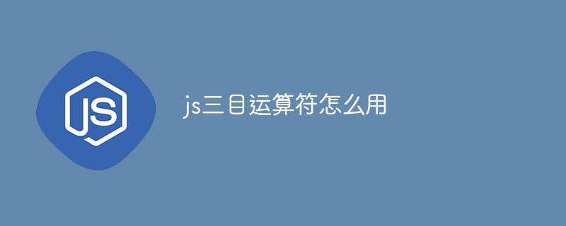 js三目运算符怎么用-第1张图片-海印网